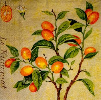 132 Lemons,  Oranges - 3-ply - Avantgarde